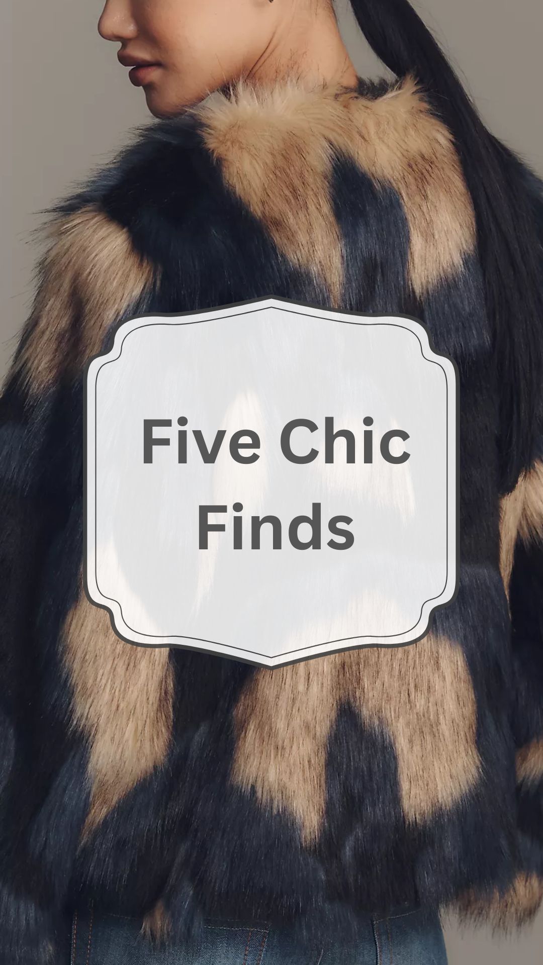 Five Chic Finds